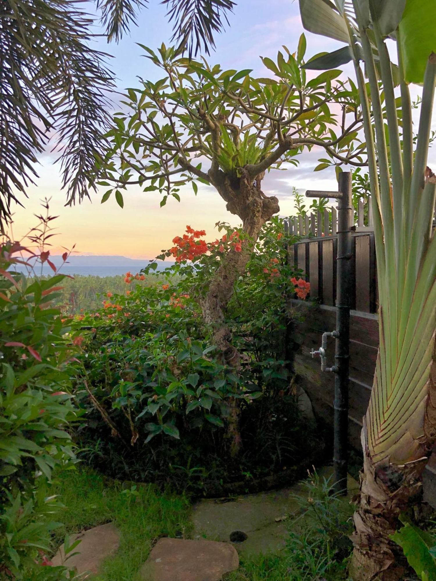 Maya Villa *